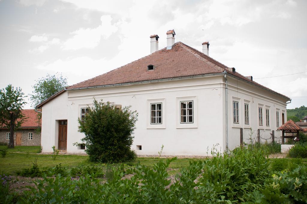 Transylvania Guesthouses Cincsor Εξωτερικό φωτογραφία
