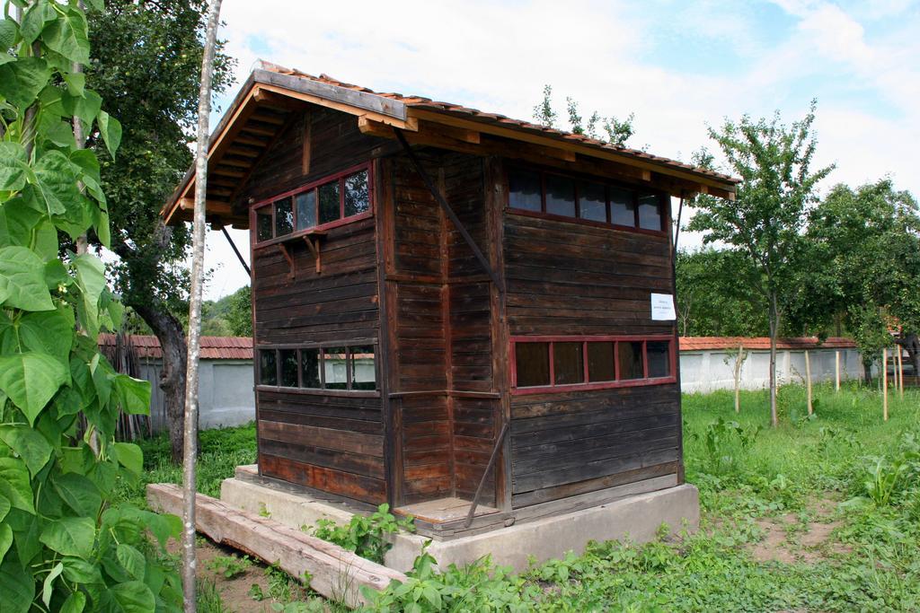 Transylvania Guesthouses Cincsor Εξωτερικό φωτογραφία
