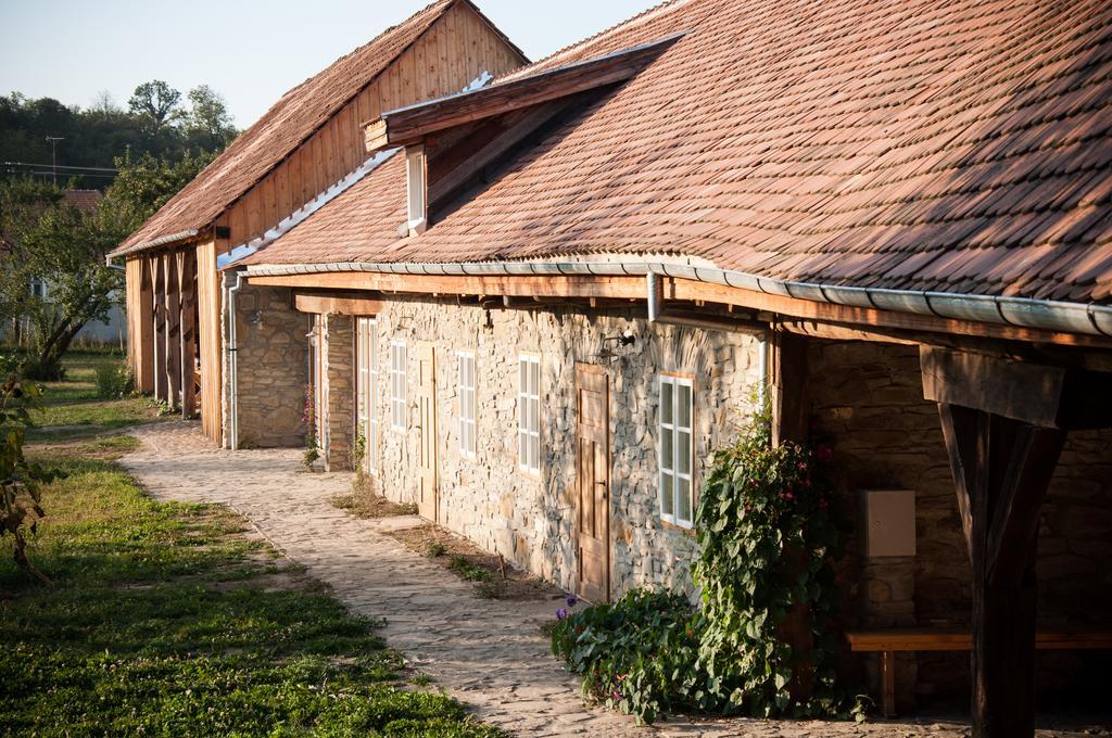 Transylvania Guesthouses Cincsor Εξωτερικό φωτογραφία