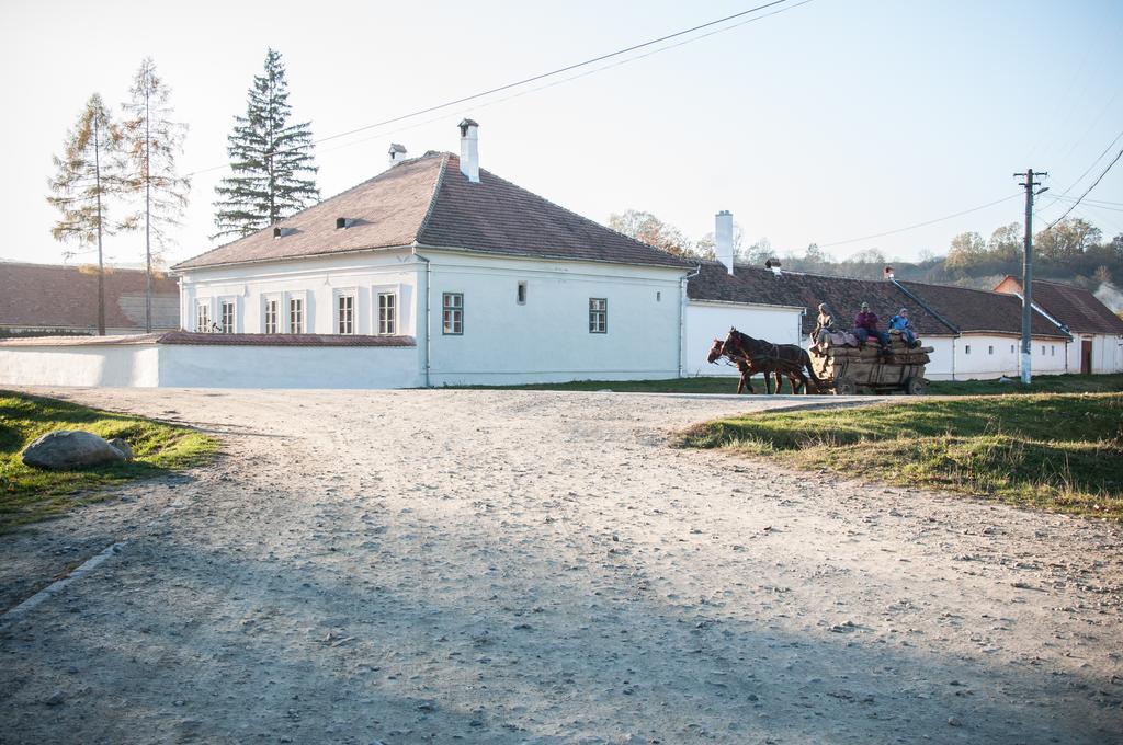 Transylvania Guesthouses Cincsor Εξωτερικό φωτογραφία