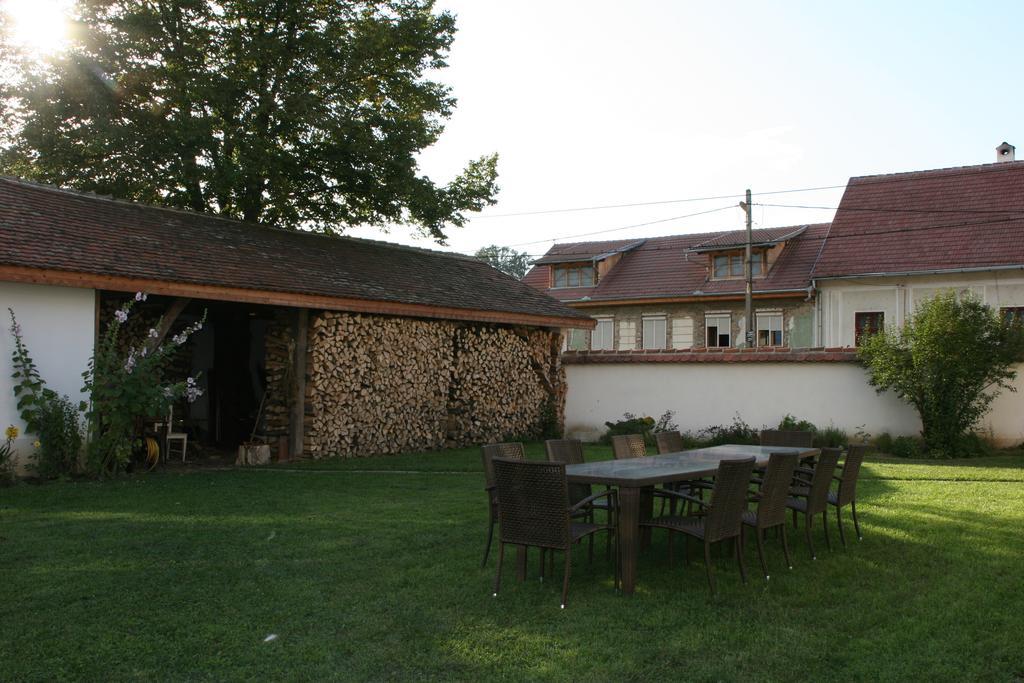 Transylvania Guesthouses Cincsor Εξωτερικό φωτογραφία