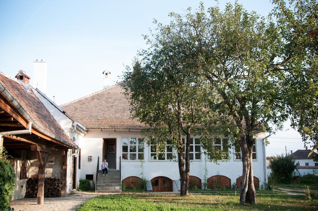 Transylvania Guesthouses Cincsor Εξωτερικό φωτογραφία